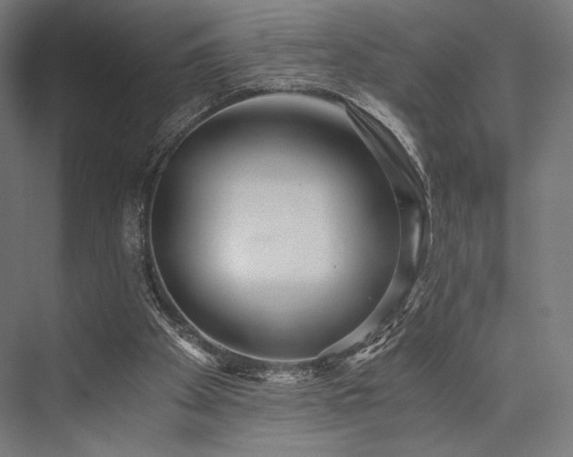 X0000076390105200610061201
