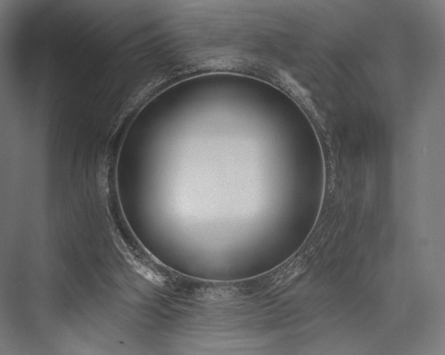 X0000076390106200610061201