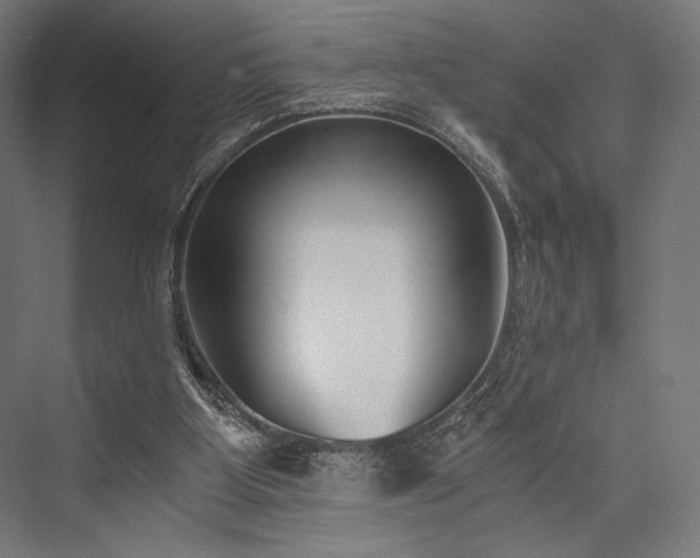 X0000076390107200610061201