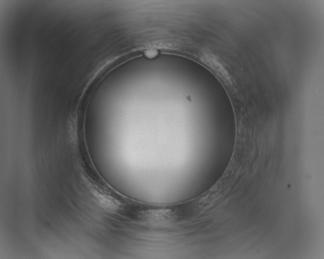 X0000076390108200610061201
