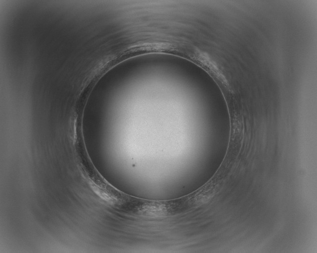 X0000076390110200610061201