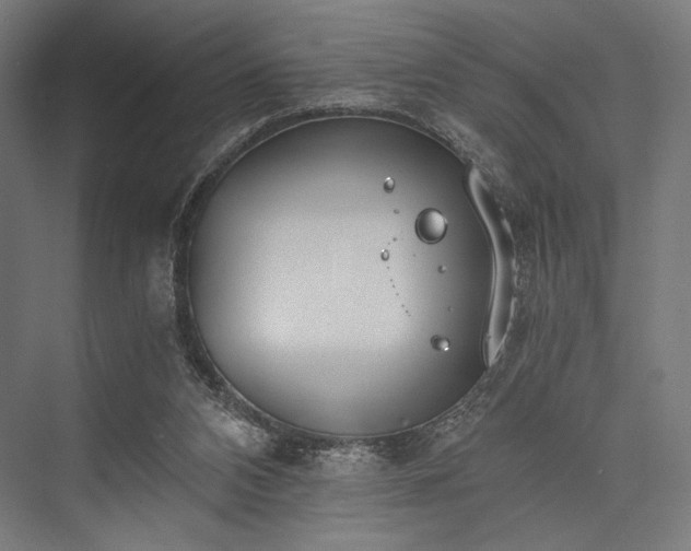 X0000076390112200610061201