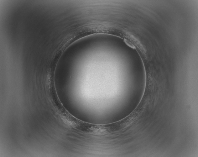 X0000076390113200610061201