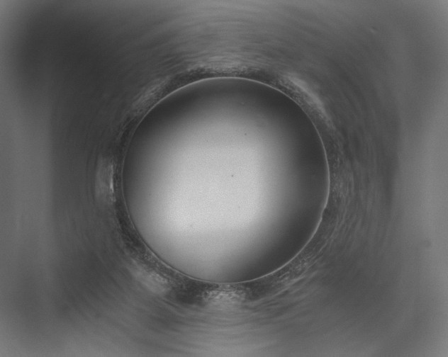 X0000076390115200610061201