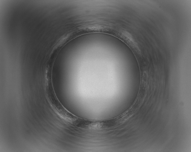 X0000076390116200610061201
