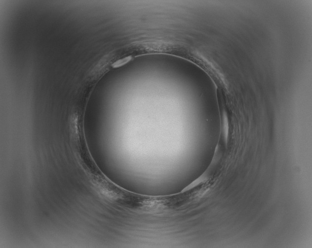 X0000076390117200610061201