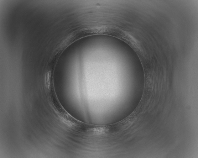 X0000076390118200610061201