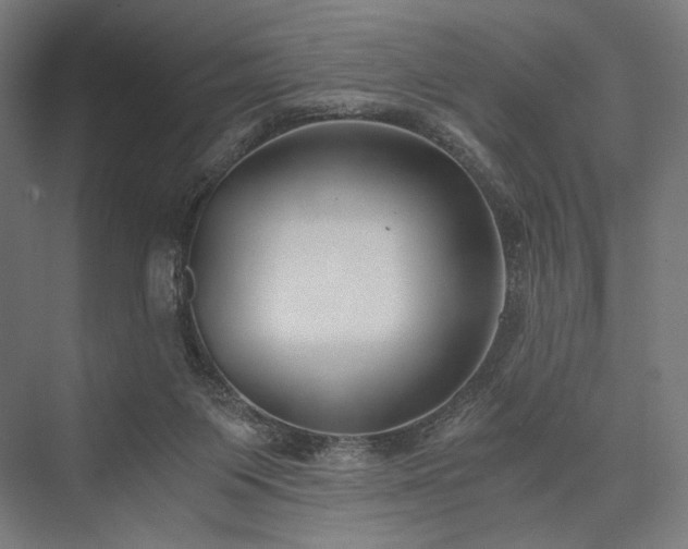 X0000076390119200610061201