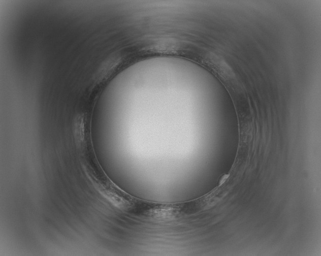 X0000076390120200610061201