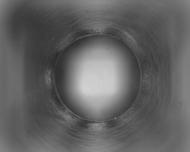 X0000076390122200610061201