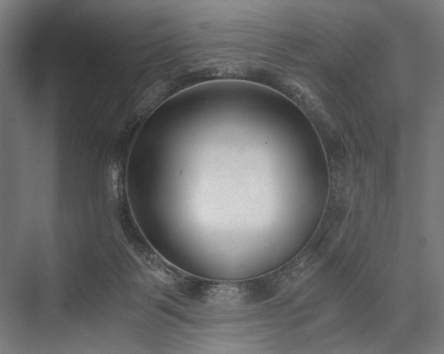 X0000076390123200610061200