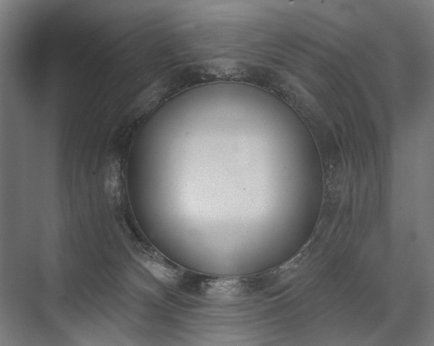 X0000076390132200610061200