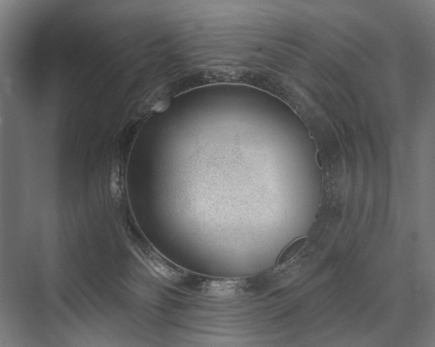 X0000076390134200610061200