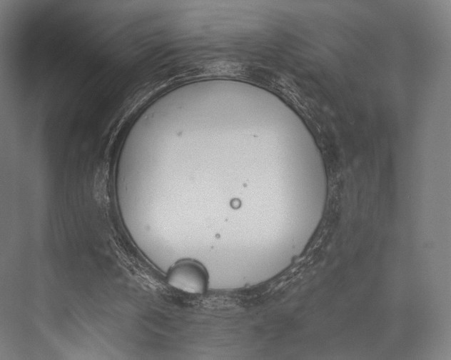 X0000076390146200610061159