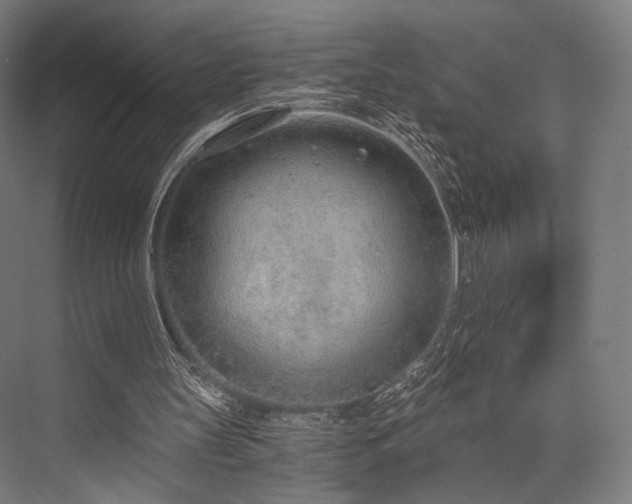 X0000076390147200610061159