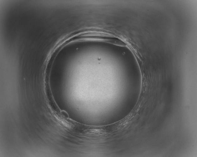 X0000076390151200610061159