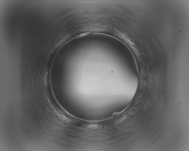 X0000076390153200610061159