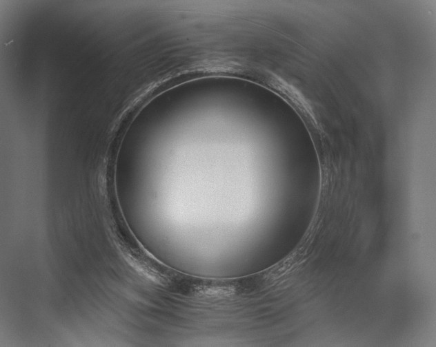 X0000076390155200610061159