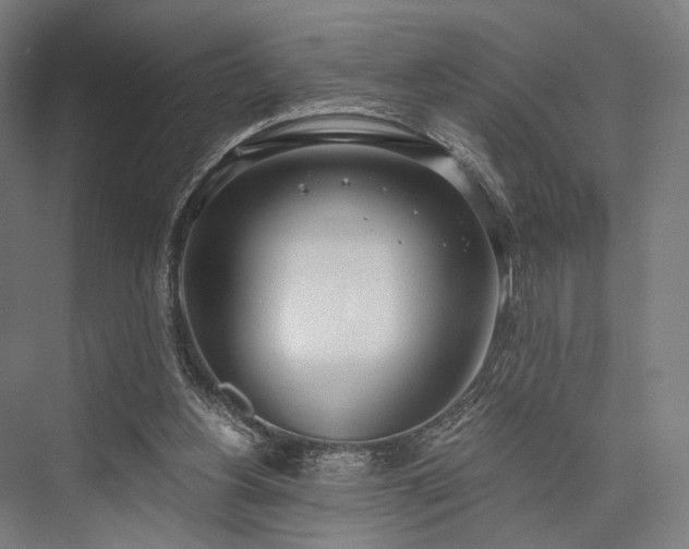 X0000076390156200610061200