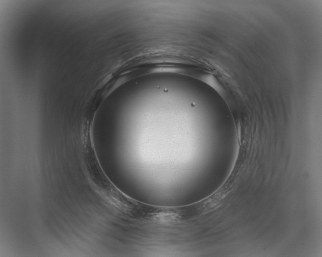 X0000076390168200610061200