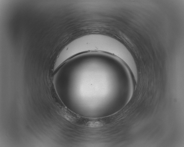 X0000076390169200610061200