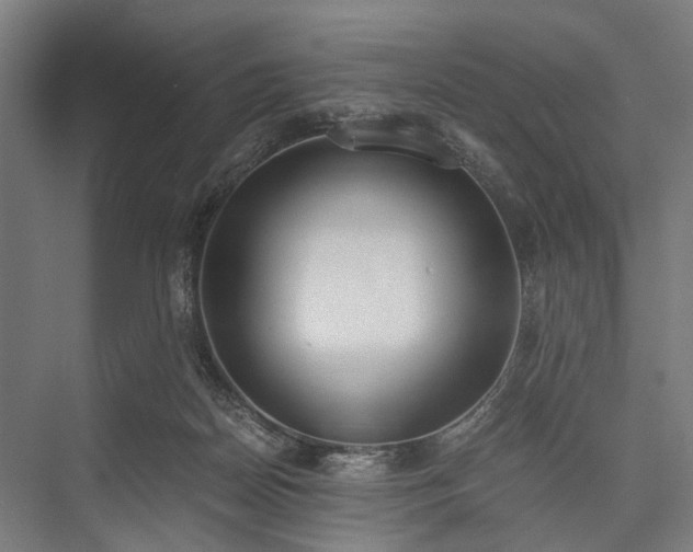 X0000076390170200610061200