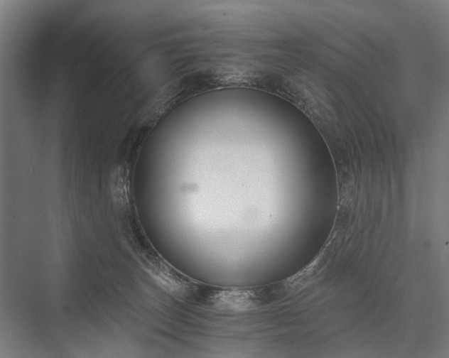 X0000076390179200610061200