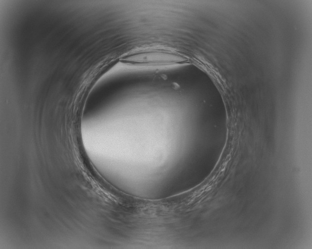 X0000076390193200610061159