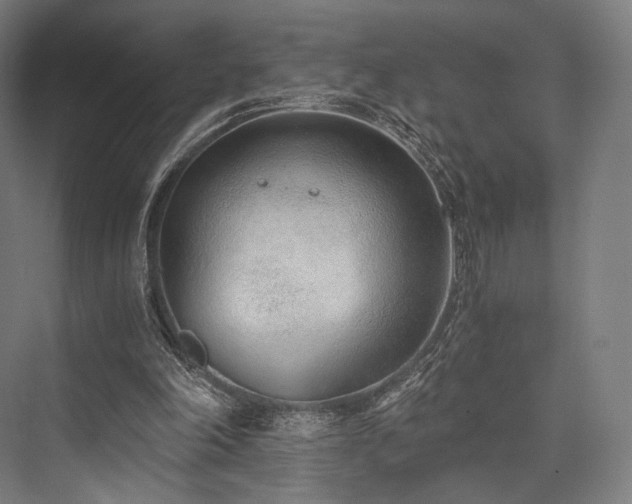 X0000076390198200610061159