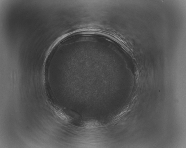 X0000076390200200610061159