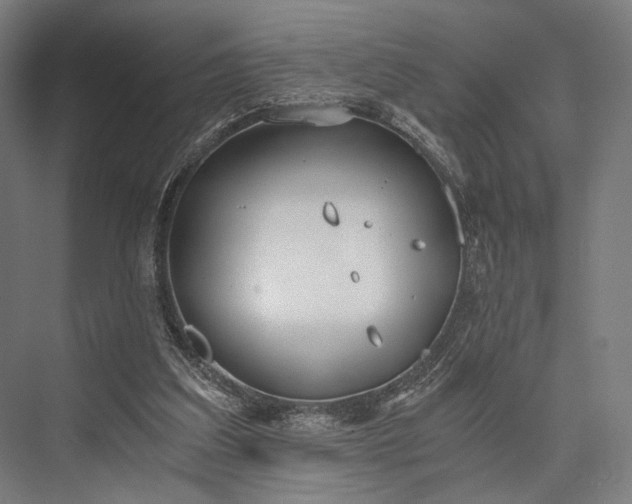 X0000076390203200610061159