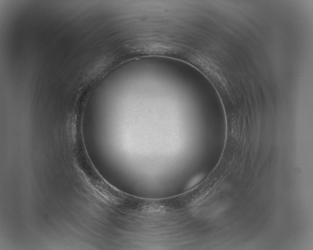 X0000076390206200610061159