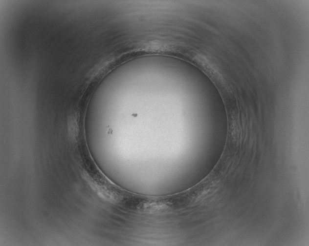 X0000076390208200610061159