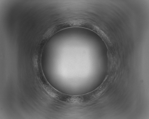 X0000076390209200610061159