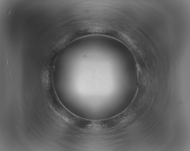 X0000076390211200610061159