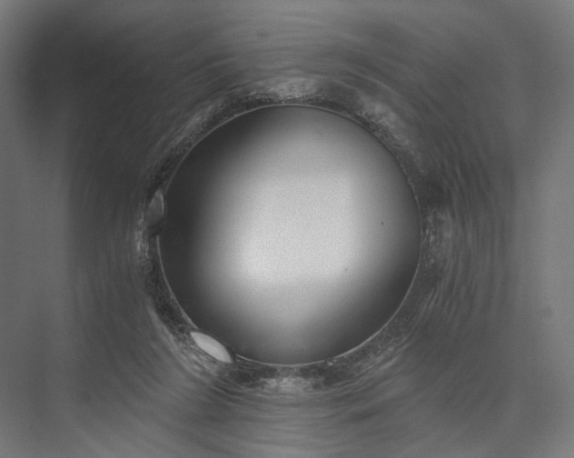 X0000076390212200610061159