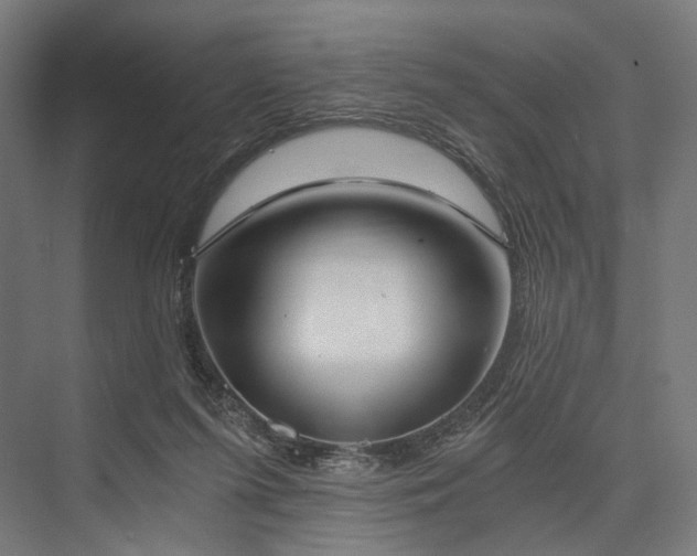 X0000076390215200610061159