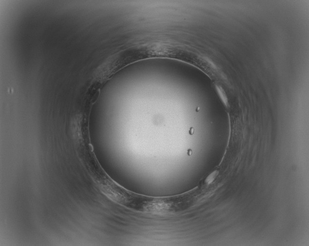 X0000076390217200610061159