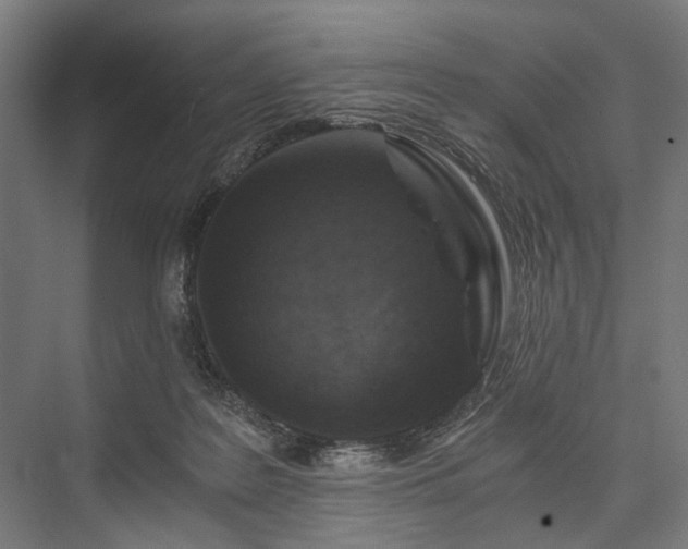 X0000076390219200610061159