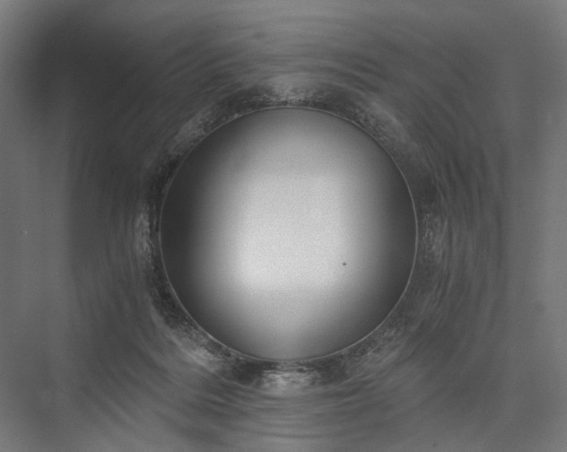 X0000076390220200610061159