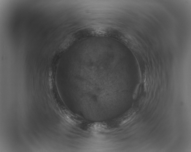 X0000076390223200610061159