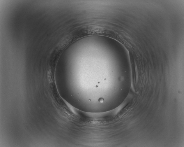 X0000076390224200610061159