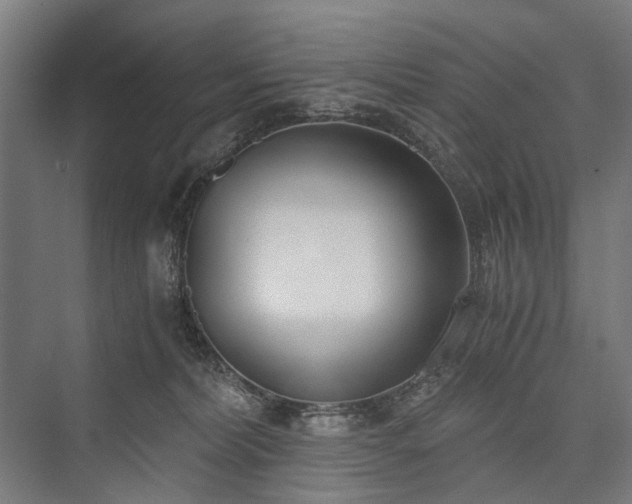 X0000076390228200610061159