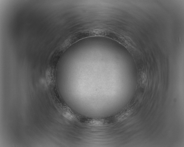 X0000076390236200610061159