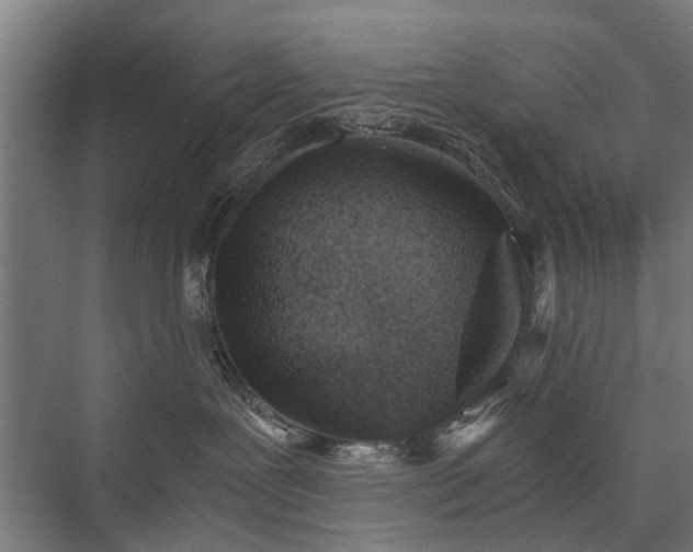 X0000076390239200610061159