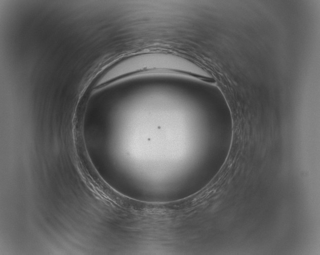 X0000076390242200610061158