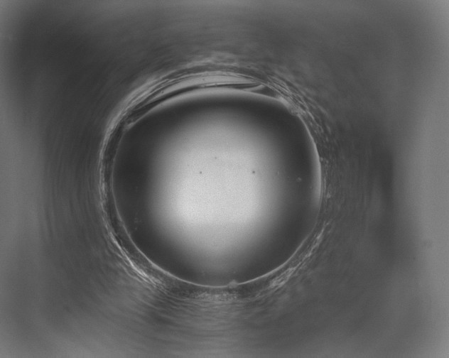 X0000076390245200610061158