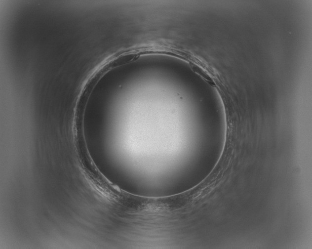 X0000076390248200610061158