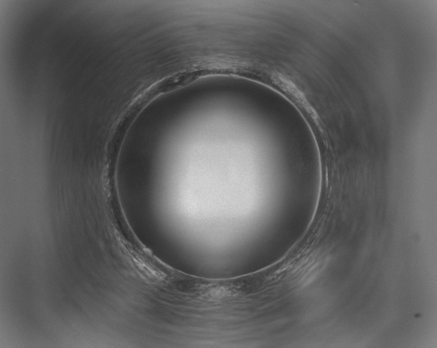X0000076390249200610061158