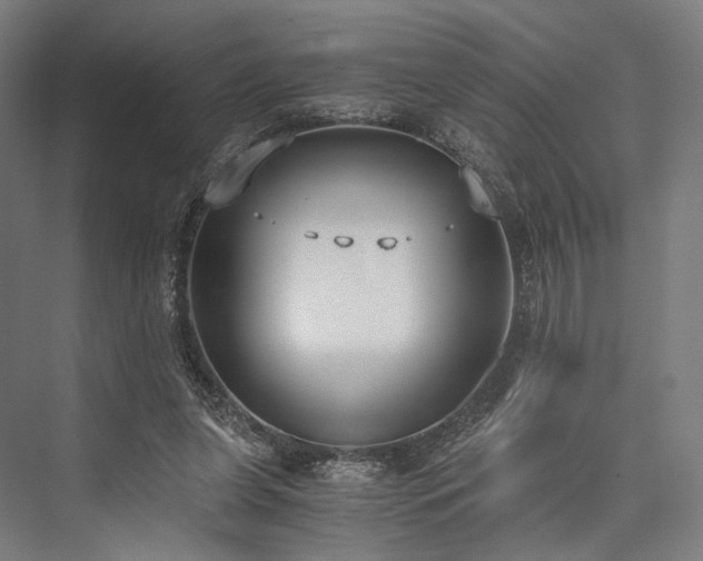 X0000076390255200610061158
